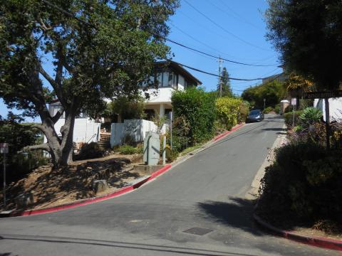 Panoramic Hill 8