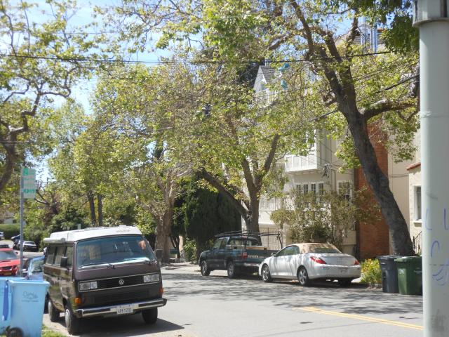 Berkeley neighborhood Street