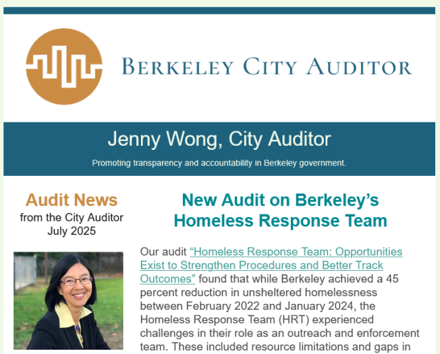 Screenshot from City Auditor's newsletter