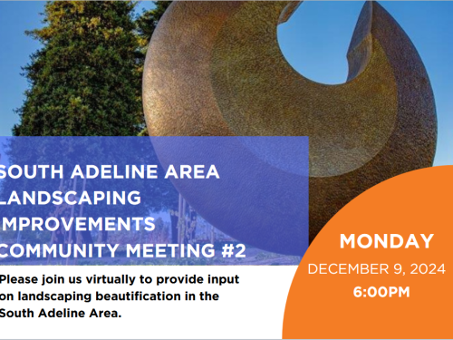 Screenshot of South Adeline Landscaping meeting 12/9/24