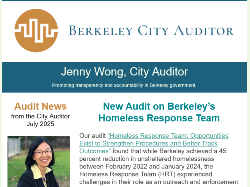 Screenshot from City Auditor's newsletter