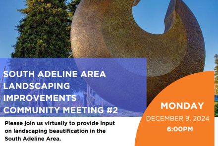 Screenshot of South Adeline Landscaping meeting 12/9/24